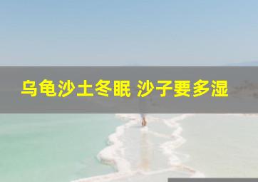 乌龟沙土冬眠 沙子要多湿